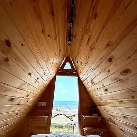 Kackarkampistanbul Domali