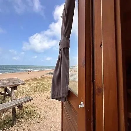 Kackarkampistanbul * Domali